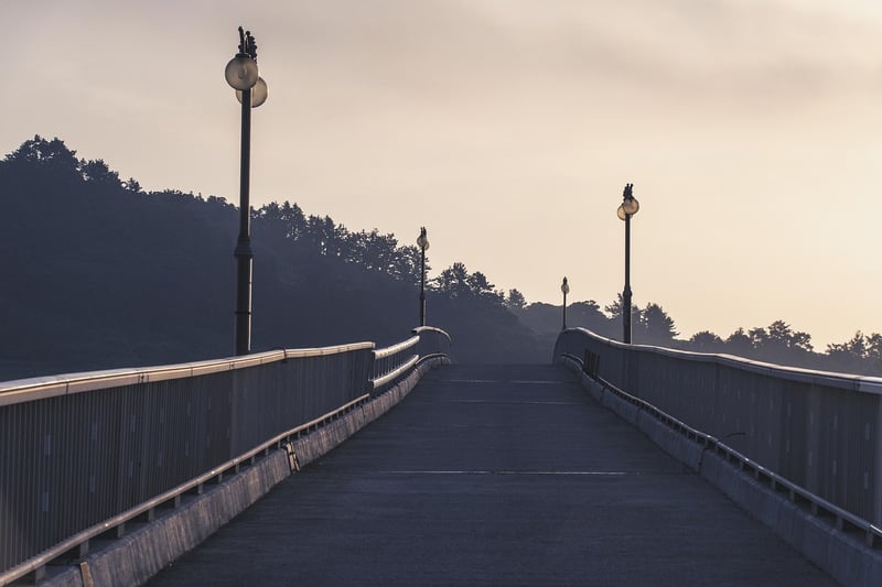 Divergent Paths